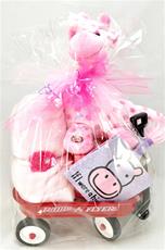 Newborn Gift Package - Welcome Baby Girl