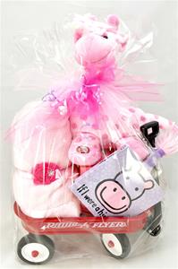 Newborn Gift Package - Welcome Baby Girl